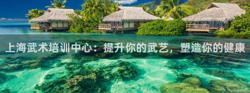 极悦平台注册失败如何解决方法：上海武术培训中心：提升