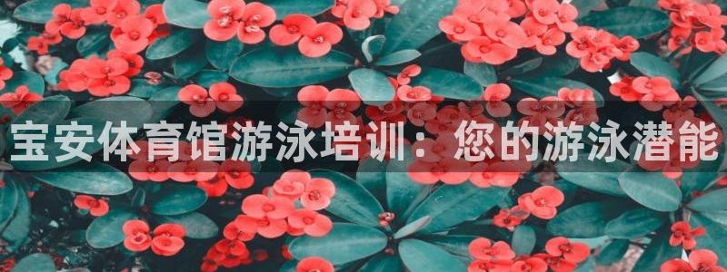 深圳极悦文化传媒有限公司：宝安体育馆游泳培训：您的游