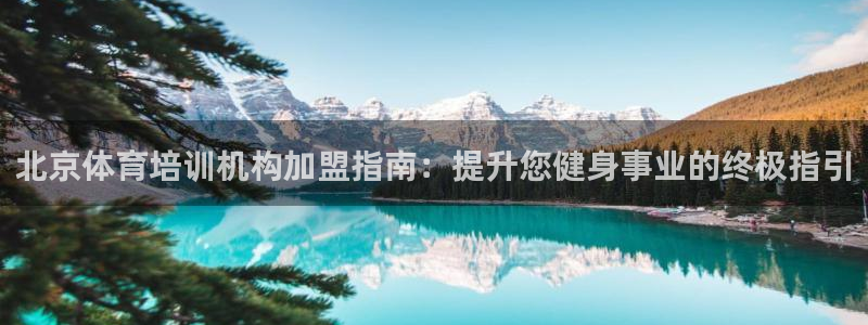 极悦平台注册申请流程详解图：北京体育培训机构加盟指南