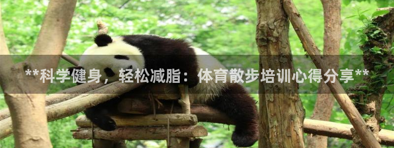 极悦平台的注册流程及注意事项：**科学健身，轻松减脂