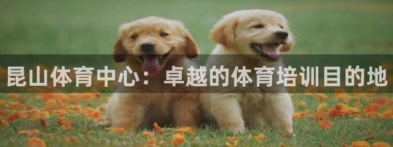 极悦平台官方网址：昆山体育中心：卓越的体育培训目的地