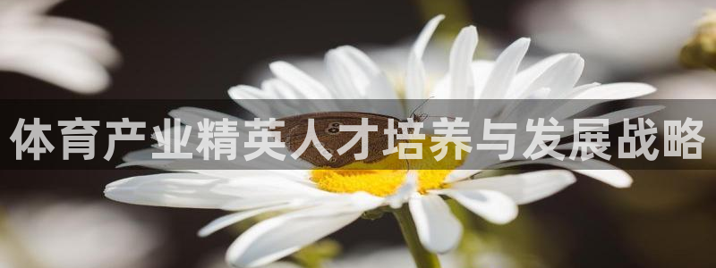 极悦平台发7O777：体育产业精英人才培养与发展战略