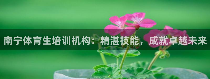 极悦平台客服团队怎么样：南宁体育生培训机构：精湛技能