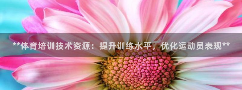 极悦平台是干什么的：**体育培训技术资源：提升训练水