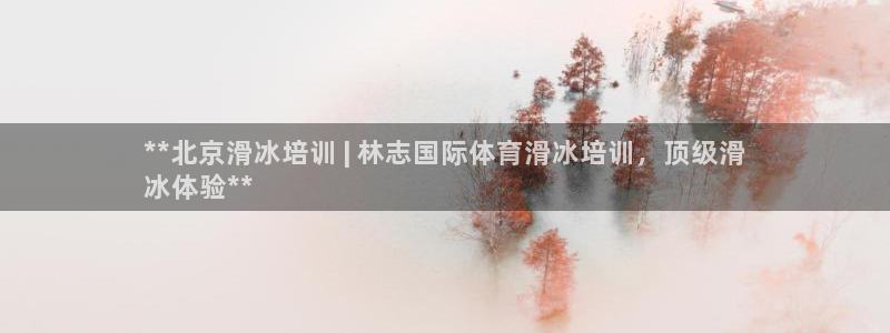 极悦平台安全吗是真的吗：**北京滑冰培训 | 林志国