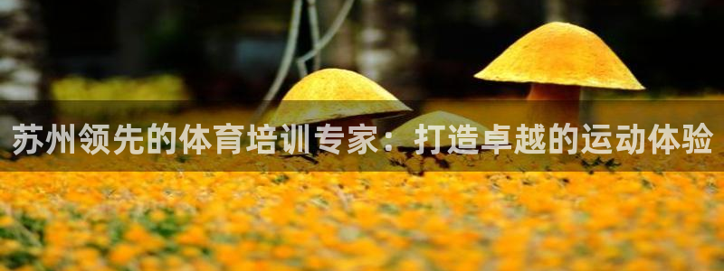 极悦平台注册官网入口：苏州领先的体育培训专家：打造卓