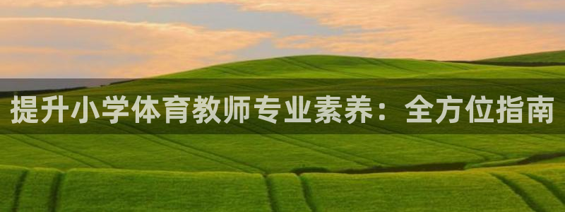 极悦平台是干什么的：提升小学体育教师专业素养：全方位