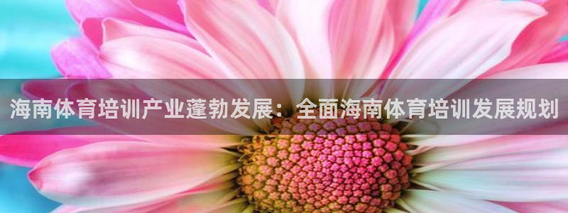 极悦平台非7O777：海南体育培训产业蓬勃发展：全面