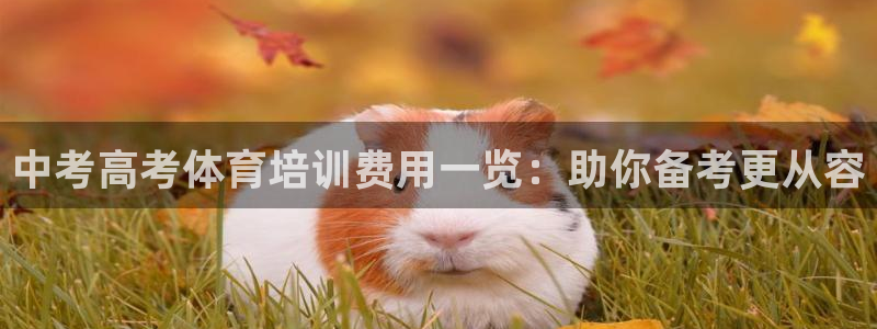 极悦平台注册官方网站下载安卓：中考高考体育培训费用一