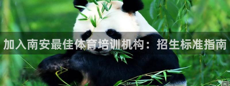 极悦平台是正规平台吗安全吗知乎：加入南安最佳体育培训