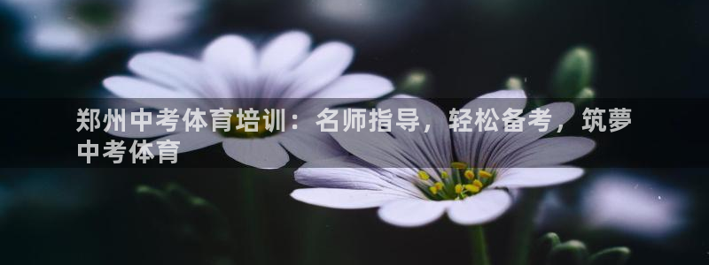 极悦平台与网易合作详情在哪：郑州中考体育培训：名师指