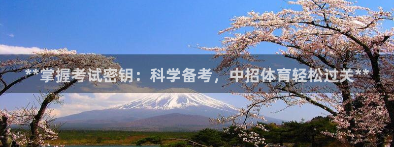 极悦平台注册登录入口官网：**掌握考试密钥：科学备考
