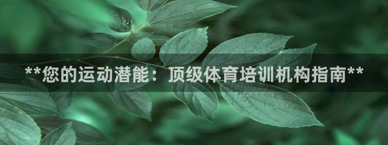 极悦平台用户反馈和反馈的区别：**您的运动潜能：顶级