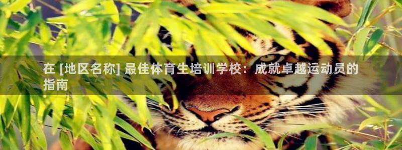极悦娱乐的最新版本更新内容在哪：在 [地区名称] 最