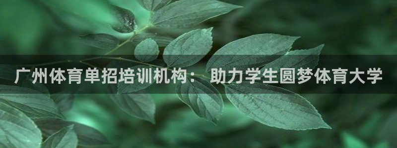 极悦平台与网易合作详情：广州体育单招培训机构： 助力