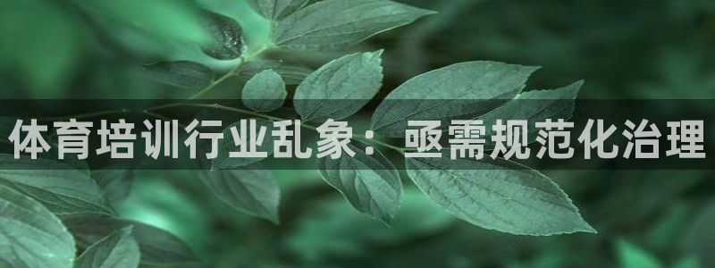 极悦平台股东名单：体育培训行业乱象：亟需规范化治理