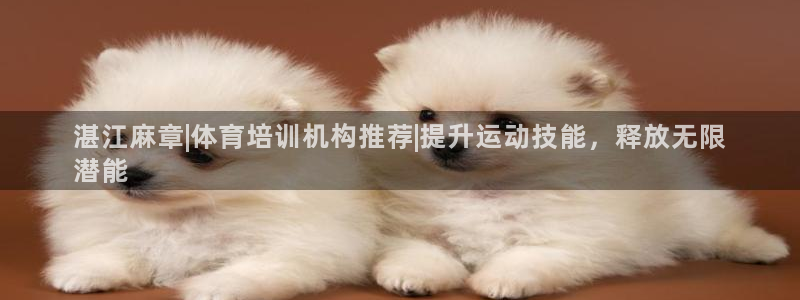 极悦平台和蓝狮平台区别在哪：湛江麻章|体育培训机构推