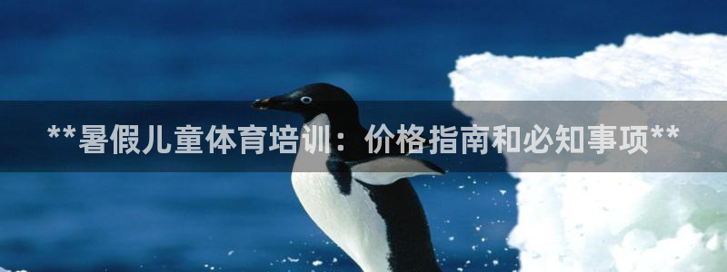 极悦娱乐代理人是谁啊：**暑假儿童体育培训：价格指南