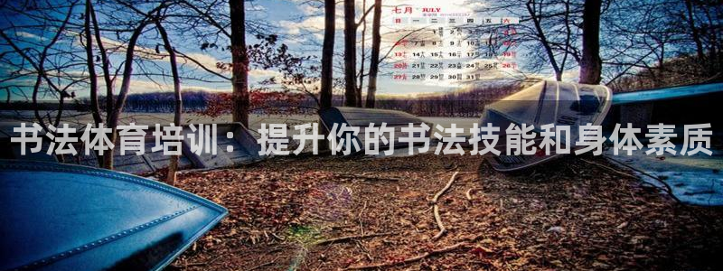 极悦娱乐官网下载：书法体育培训：提升你的书法技能和身