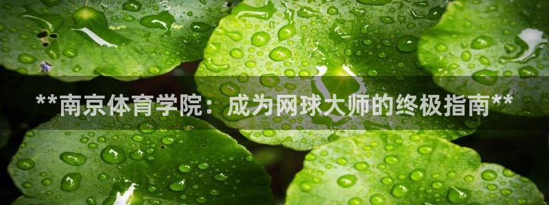 极悦平台与网易合作详情：**南京体育学院：成为网球大