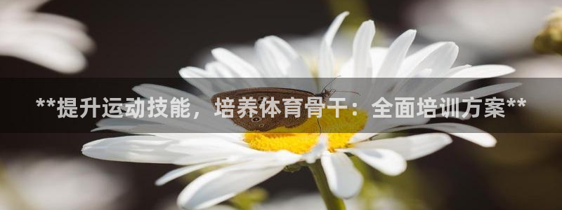 极悦平台登录方式有哪些：**提升运动技能，培养体育骨
