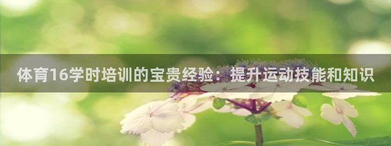 极悦平台用户评价：体育16学时培训的宝贵经验：提升运