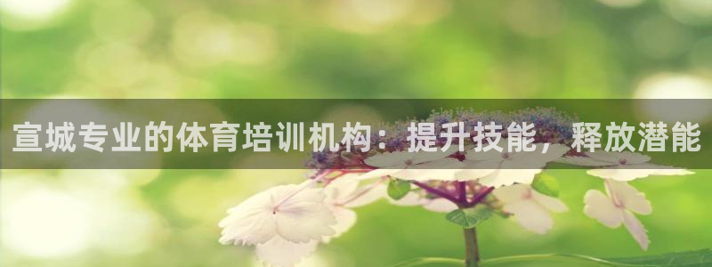 极悦平台官方网站首页下载：宣城专业的体育培训机构：提