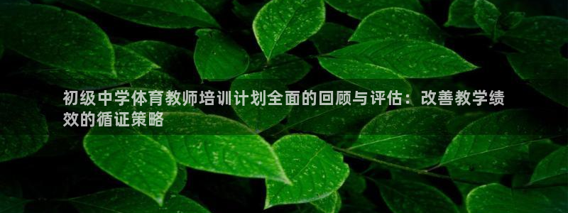 极悦娱乐官网入口：初级中学体育教师培训计划全面的回顾