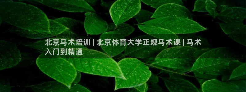 极悦娱乐登录拒绝访问怎么办啊：北京马术培训 | 北京