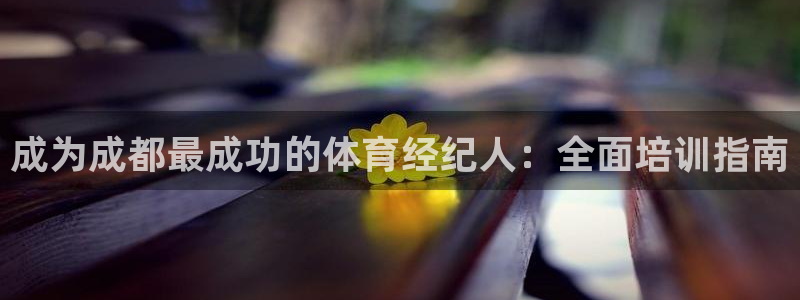极悦平台和蓝狮平台区别是什么：成为成都最成功的体育经