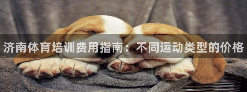 极悦平台注册流程详解视频：济南体育培训费用指南：不同