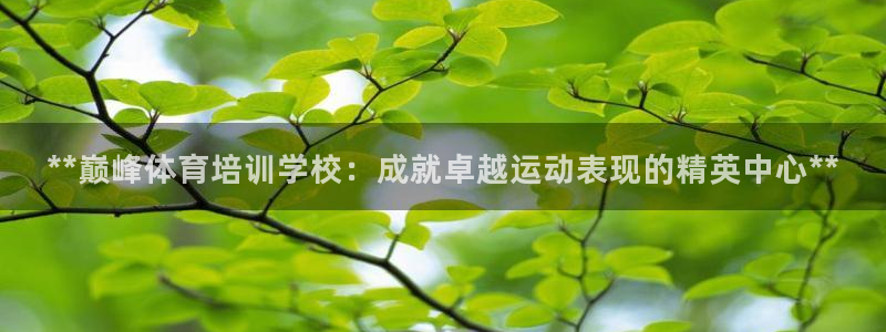 极悦平台注册用户名格式不正确：**巅峰体育培训学校：