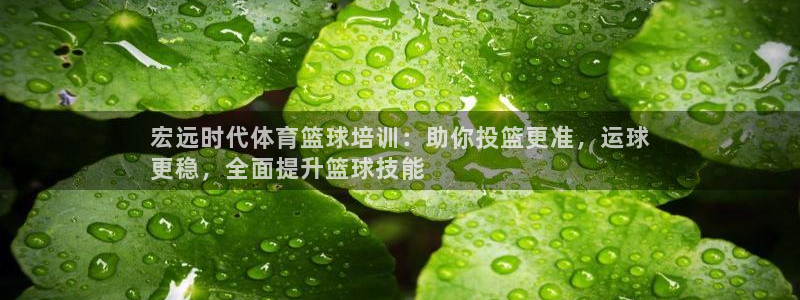 极悦娱乐股东名单：宏远时代体育篮球培训：助你投篮更准