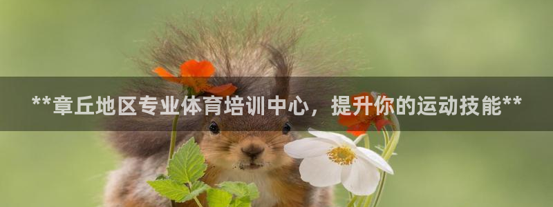 极悦娱乐的背景和历史背景介绍：**章丘地区专业体育培