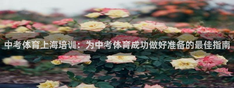 极悦娱乐创始人背景故事：中考体育上海培训：为中考体育