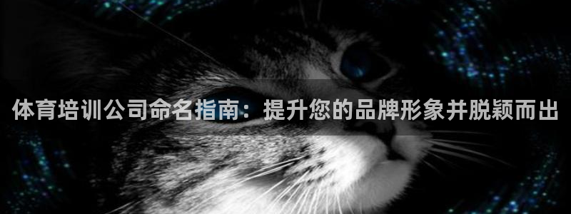 极悦娱乐官网客服联系方式查询：体育培训公司命名指南：