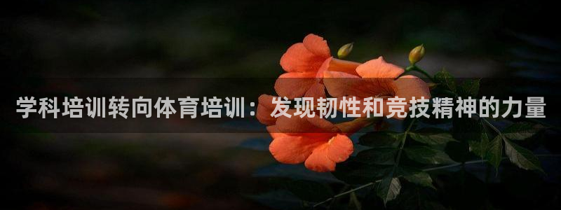极悦平台官方网站首页登录：学科培训转向体育培训：发现