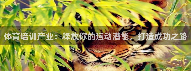 极悦官网首页登录入口网址：体育培训产业：释放你的运动