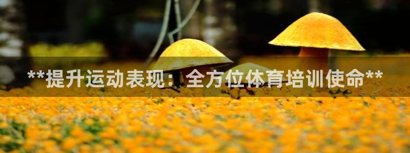 极悦平台与网易合作详情：**提升运动表现：全方位体育