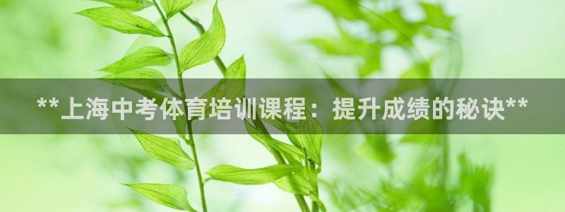 极悦平台股东是谁：**上海中考体育培训课程：提升成绩