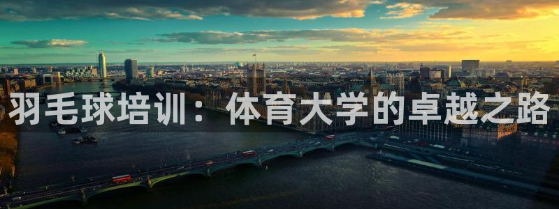 极悦平台登录7.0.2.4手机版下载安卓：羽毛球培训