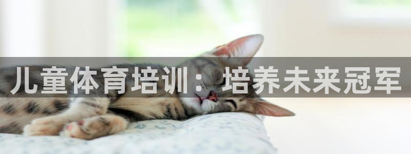 极悦娱乐旗下艺人名单：儿童体育培训：培养未来冠军