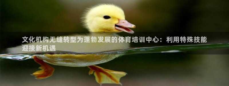 极悦娱乐代理怎么样可靠吗：文化机构无缝转型为蓬勃发展