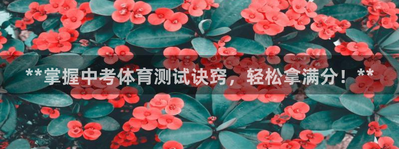 极悦官网入口登录网址：**掌握中考体育测试诀窍，轻松