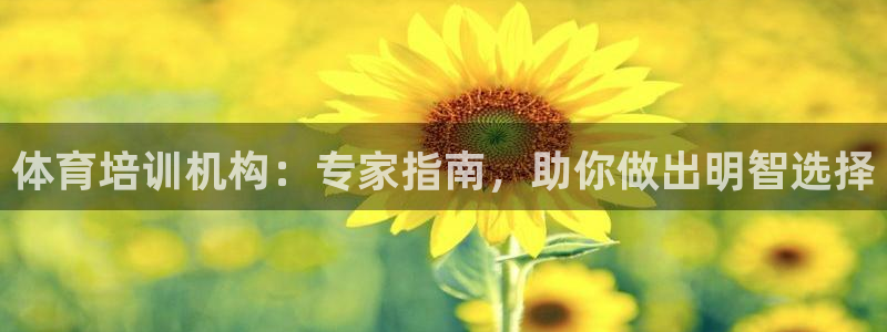 极悦平台注册用户名生成器下载：体育培训机构：专家指南