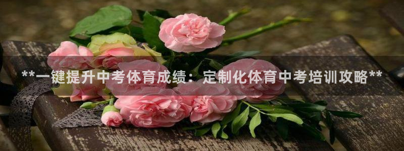 极悦平台注册登录：**一键提升中考体育成绩：定制化体