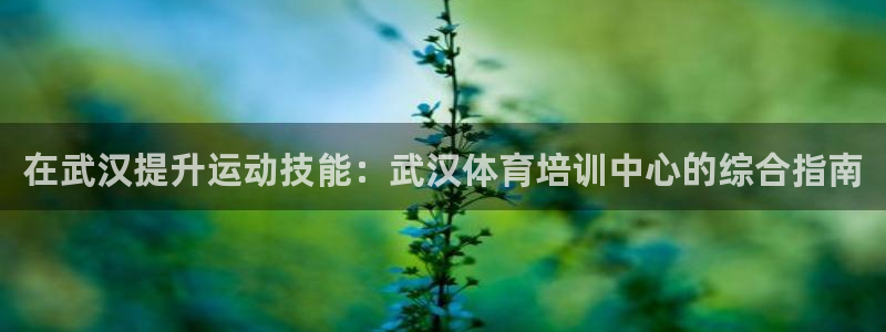 加盟极悦教育多少钱：在武汉提升运动技能：武汉体育培训