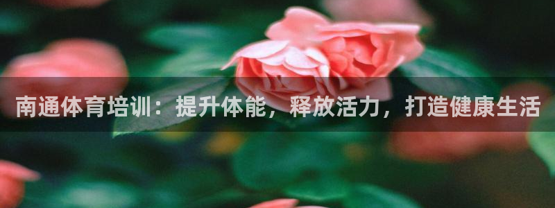 极悦平台代理怎么赚钱：南通体育培训：提升体能，释放活