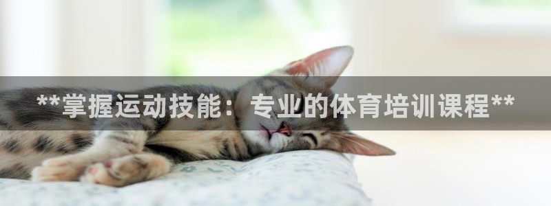 极悦娱乐贴吧百度：**掌握运动技能：专业的体育培训课