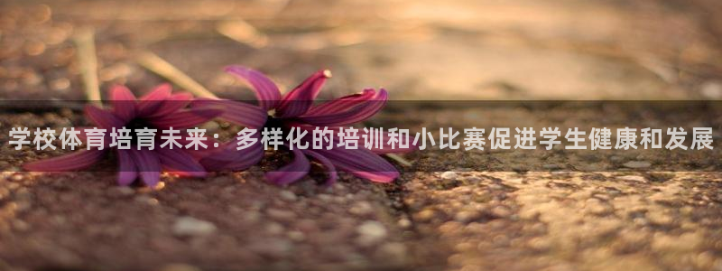 极悦平台官网登录入口：学校体育培育未来：多样化的培训